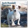 "Jack Russell Terriers, 2027 16-Month Calendar." Ein Jack Russell Terrier steht auf einem Felsen im Wasser.