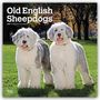 "Old English Sheepdogs 2027 16-Month Calendar". Zwei flauschige Old English Sheepdogs im Grünen, umgeben von Bäumen.