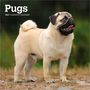 Browntrout: Pugs 2027 7 X 14 Inch (Hanging) Monthly Mini Wall Calendar, KAL