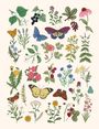 Illustration von bunten Schmetterlingen, verschiedenen Blumen und Pflanzen in natürlicher Darstellung.