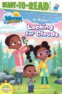 Al Roker: Looking for Clouds, Buch