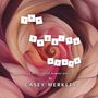 Casey Merkley: The Begging Wound, Buch