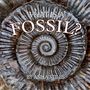 Anna Stiles: What is a Fossil?, Buch