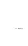 Aaron Andreu: Glitches, Buch