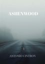 ASHENWOOD, Antonio Cintron; eine neblige Straße verschwindet im dichten, grauen Nebel.