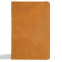 Csb Bibles By Holman: CSB Thinline Bible, Digital Study Edition, Camel Suedesoft Leathertouch, Buch