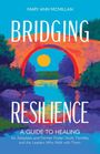 Mary Ann McMillan: Bridging Resilience, Buch