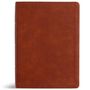 Holman Bible Publishers: NASB Study Bible, Burnt Sienna Leathertouch, Indexed, Buch