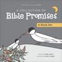 Emily Assell: A Collection of Bible Promises 4-Book Set: When It Hurts / You Are / Tonight / Chosen, Buch