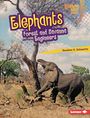 Heather E Schwartz: Elephants, Buch