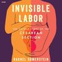 Rachel Somerstein: Invisible Labor, MP3
