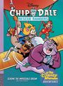 "Chip 'n Dale Rescue Rangers" oben, "Scheme the Impossible Dream" unten. Comic-Stil: Tiere auf Flugzeugflügel in Actionpose.