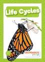 Louise Nelson: Life Cycles, Buch