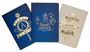 Insights: Harry Potter: Spells and Potions Planner Notebook Collection (Set of 3): (Harry Potter School Planner School, Harry Potter Gift, Harry Potter Statione, Buch