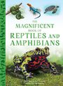 Tom Jackson: The Magnificent Book of Reptiles and Amphibians, Buch