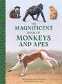 "The Magnificent Book of Monkeys and Apes." Illustrationen von Affen und Menschenaffen vor neutralem Hintergrund.