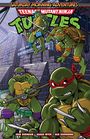 Erik Burnham: Teenage Mutant Ninja Turtles: Saturday Morning Adventures, Vol. 3, Buch