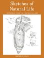 Text: "Sketches of Natural Life", "INTRODUCTION TO THE MISCELLANY", "MATHEW LOUIS." Zeichnung von einem hängenden Tier und Gesichtern.