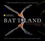 Rachel A. Page: Bat Island: A Rare Journey Into the Hidden World of Tropical Bats, Buch