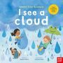 Saskia Gwinn: Teeny Tiny Science: I See a Cloud, Buch