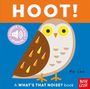 Text: "HOOT!", "SOUNDS • FLAPS • MIRROR", "Pui Lee", "A WHAT'S THAT NOISE? book". Illustration einer Eule.