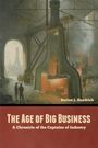 Burton J. Hendrick: The Age of Big Business, Buch