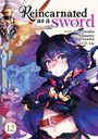Yuu Tanaka: Reincarnated as a Sword (Manga) Vol. 12, Buch