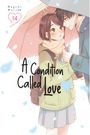 Megumi Morino: A Condition Called Love 14, Buch