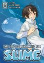 Fuse: That Time I Got Reincarnated as a Slime 29, Buch