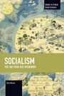 Text: "Socialism: The 100-Year-Old Misnomer", "Studies in Critical Social Sciences", "Dana Neacșu". 

Illustration einer fantasievollen Karte.