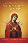 Joseph Hollcraft: Contemplating the Seven Sorrows of Mary, Buch