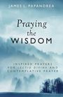 JAMES L. PAPANDREA. Praying the Wisdom. Inspired prayers for Lectio Divina and contemplative prayer. Nebelige Winterlandschaft.