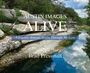 Brad Pressman: Austin Images Alive, Buch