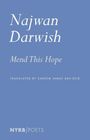 Najwan Darwish: Mend This Hope. Übersetzer: Kareem James Abu-Zeid. Blaues Cover, "NYRB Poets" unten.