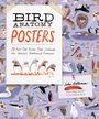 „BIRD ANATOMY POSTERS“; Illustration von Vögeln und Nestern auf lila Hintergrund. Autor: Julia Rothman.