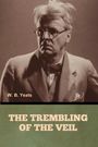 W. B. Yeats: The Trembling of the Veil, Buch