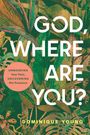 Dominique Young: God, Where Are You?, Buch
