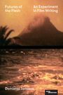 „Futures of the Flesh“, „An Experiment in Film Writing“, „Domietta Torlasco“. Oben ein verschwommener Vulkan, unten Wasser.