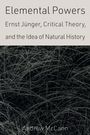 „Elemental Powers: Ernst Jünger, Critical Theory, and the Idea of Natural History“ von Andrew McCann. Hintergrund: chaotische Linien.