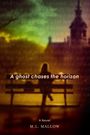 M L Mallow: A Ghost Chases the Horizon, Buch