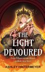 Ashley Hintermeyer: The Light Devoured, Buch