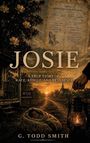 Texte: "JOSEIE", "A True Story of Race, Rescue, and Resilience", "D'LO MISSISSIPPI". Eine Laterne in einer Landschaft bei Sonnenuntergang.
