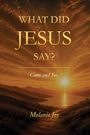 „WHAT DID JESUS SAY? Come and See. Melanie Joy.“ Sonnenuntergang über einem Berg- und Seepanorama.