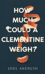 Joel Asencio: How Much Could a Clementine Weigh?, Buch