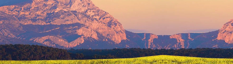 Grüne Wiese vor einem großen Felsmassiv